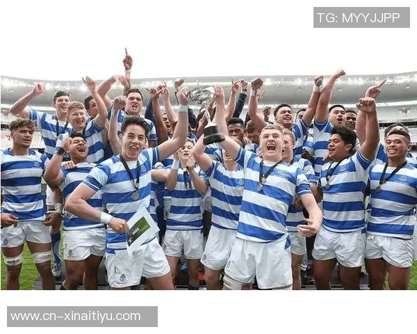 爱沙尼亚与瑞典足球对决分析两队实力与战术的深度剖析